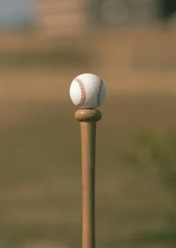 Bat and Ball Stock Photos