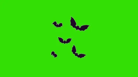 Bat animation on green background Vidéo 330216295
