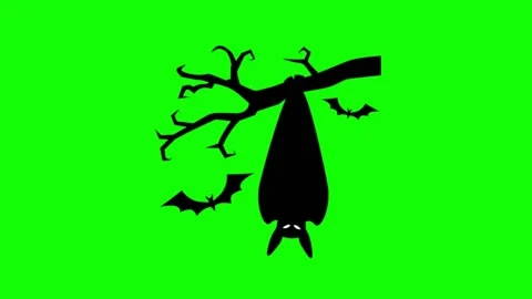 Bat animation, halloween Stock Footage 197364665