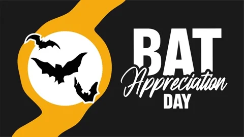 Bat Appreciation Day to protect the bat ecosystem Stock Footage 331416485