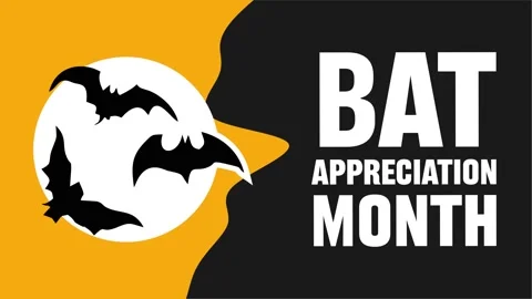 Bat Appreciation Day to protect the bat ecosystem Stock Footage 331416510