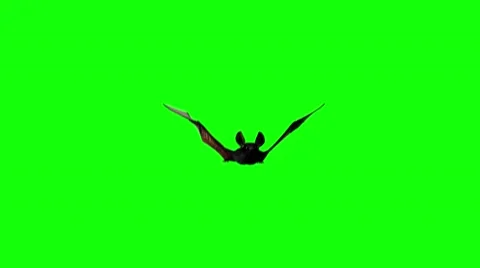 Bat are flying on a green background of Halloween render 3D Video stock 68585092