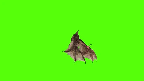Bat Attack Green Screen Animation 4K Rendering Video stock 295557710