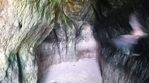 BAT CAVE Stock Footage 100576398