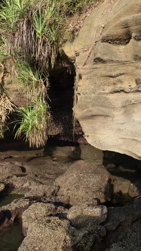 Bat Cave Video stock 283816541
