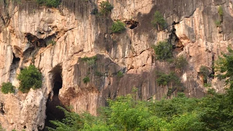 Bat Cave, Phu Pha Man District Khon Kaen Province Thailand. Bats fly out of cave Video stock 253444441