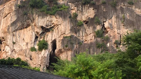 Bat Cave, Phu Pha Man District Khon Kaen Province Thailand. Bats fly out of cave Stock Footage 253444442