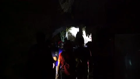 Bat Caves at Mangrover River Forest in Langkawi 2 Stock Footage 146599079