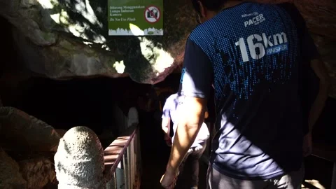 Bat Caves at Mangrover River Forest in Langkawi 1 Stock Footage 146599714