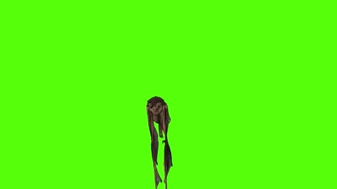 Bat Clawas Attack Green Screen Animation 4K Rendering Stock Footage 295557679