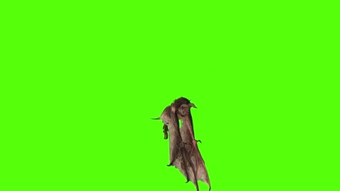 Bat Clawas Attack Green Screen Animation 4K Rendering Video stock 295557722