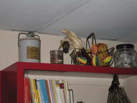 Bat On The Corn Husks Stock Photos