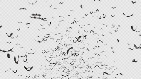 Bat Crowd Stock Footage 284200360