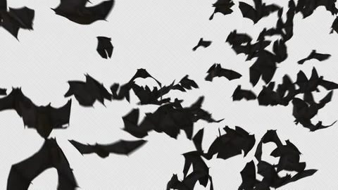Bat Crowd Stock Footage 286792945