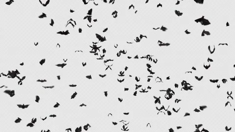 Bat Crowds on alpha channel Stock Footage 253558250