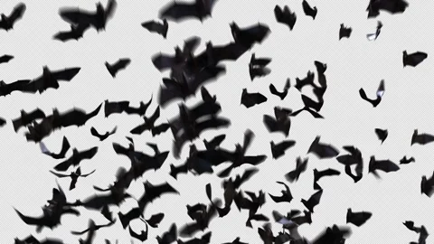 Bat Crowds Flying Up Alpha Stock Footage 317326958