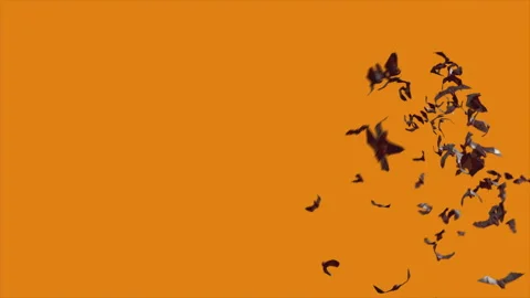 Bat Crowds Halloween Background Loop Stock Footage 316896667