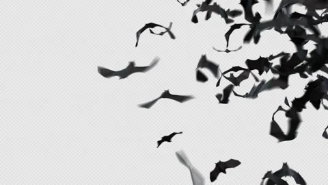 Bat Crowds Transition Alpha Overlay Stock Footage 318714108