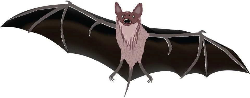 Bat in danger look Stock Illustration
