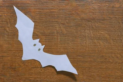 Bat on a dark background Stock Photos