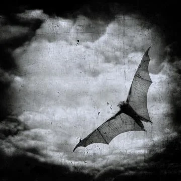 Bat in the dark cloudy sky, perfect halloween background Stock Photos