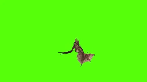 Bat Death Green Screen Animation 4K Rendering Video stock 295557671