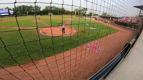 Bat Dog baseball Stadium Summer Game 4K Wide Angle Stock-Footage 156723637