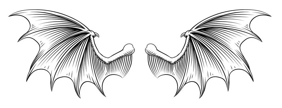Bat Dragon Devil Demon Vampire Wings Illustration Stock Illustration