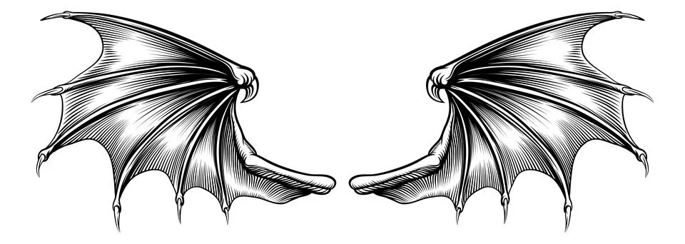 Bat Dragon Devil Vampire Demon Wings Drawing Stock Illustration