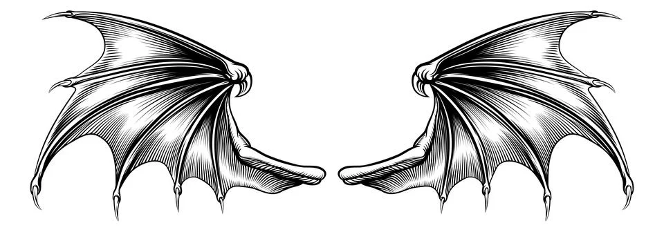 Bat Dragon Devil Vampire Demon Wings Drawing Stock Illustration