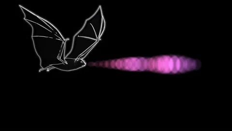 Bat emitting sonar , echolocation signals . 3d animation render Stock Footage 183405093