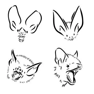 Bat engraving hand drawn illustration 스톡 일러스트