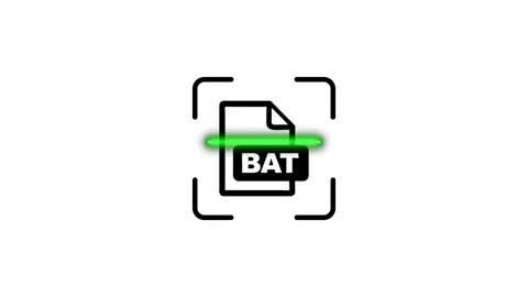 Bat file scanning animation showing digital data verification process with .. Stock Footage 346498252