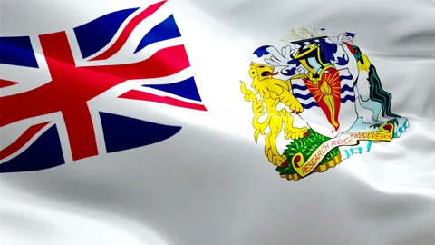 BAT flag Closeup 1080p Full HD 1920X1080 footage video waving in wind. Stock Footage 126888209