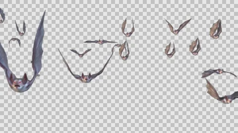 Bat Flock character 3d animation Видео 57725210