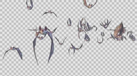 Bat Flock  Видео 57725154