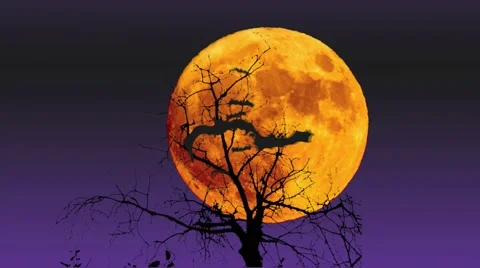 Bat flyaway, Animated bats over scary background 動画素材 40387734