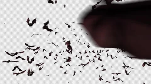 Bat flying with Alpha Видео 158905259