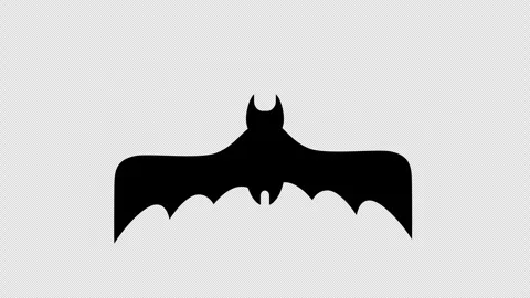 Bat flying animation on transparent background. Halloween. 4K alpha channel Stock Footage 311425359