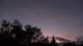 Bat flying around and looping over backstreet city roofs after sunset HD Footage