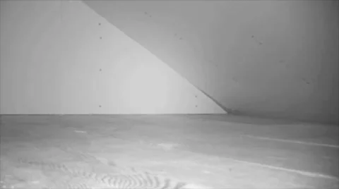 Bat Flying Around In Attic Stock Footage 24776462