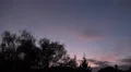 Bat flying around over backstreet city roofs after sunset HD Footage