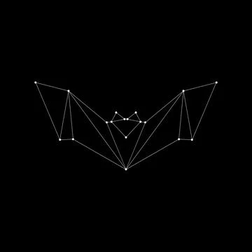 Bat, Flying Fox Polygonal Lines Stock Illustration
