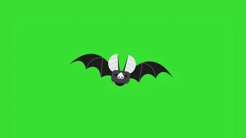 Bat Flying Green Screen Animation Video Stock Footage 344641869