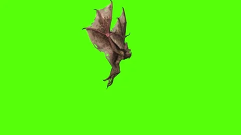 Bat Flying Idle Green Screen Animation 4K Rendering Video stock 295557661