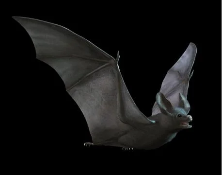 Bat Flying Stock Illustration