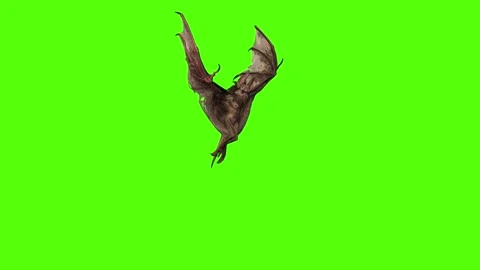 Bat Flying Looking Around Green Screen Animation 4K Rendering Stock Footage 295557646
