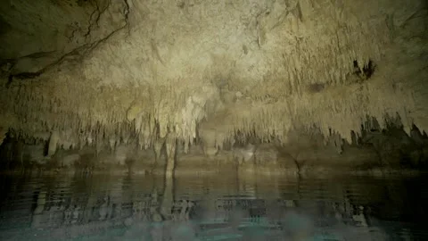 Bat flying near cave ceiling above water surface Stock Footage 331789016