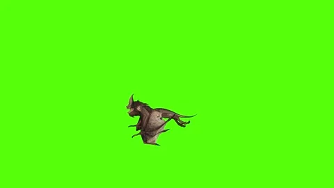Bat Flying Normal Green Screen Animation 4K Rendering Stock Footage 295557594