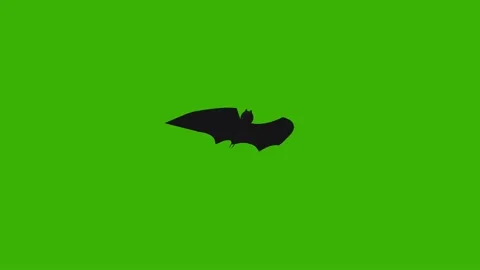 Bat Flying Silhouette Green Screen Stock Footage 344091503